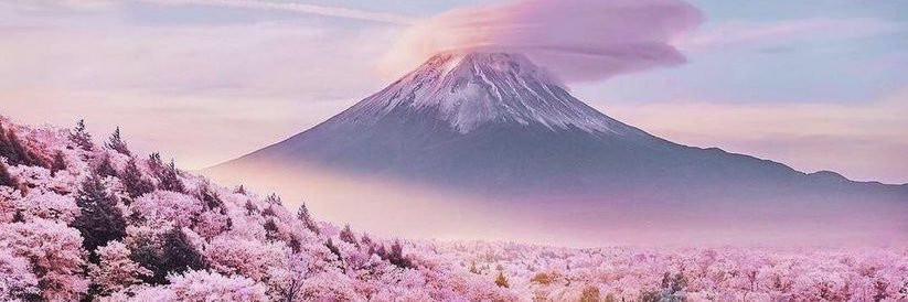 Flxvixn's profile banner image