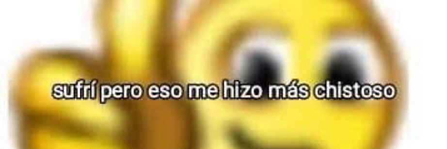 lusia banner