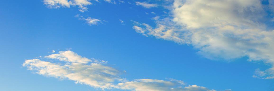 ElenaWunder's profile banner image