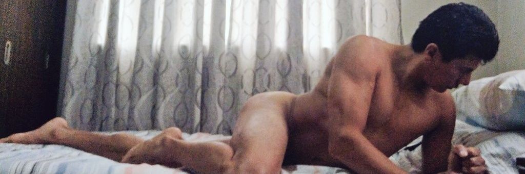 Alanizzo Fitzgerald banner