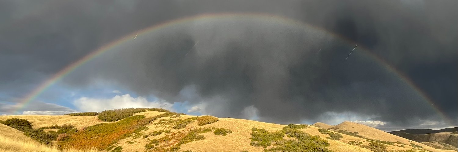 Günseli Berik banner