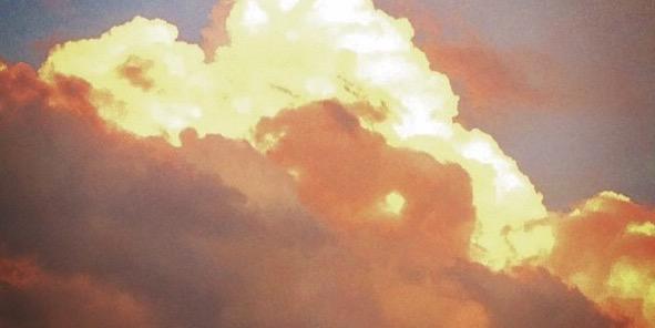 SAVdesRêvesBizarres banner
