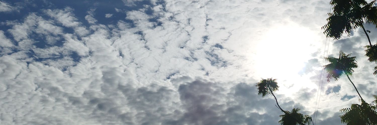 aleydisc's profile banner image