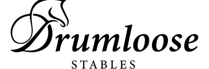 Aisling Noone banner