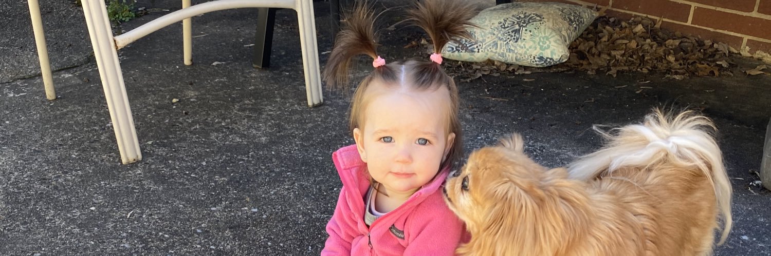 brookeajack's profile banner image