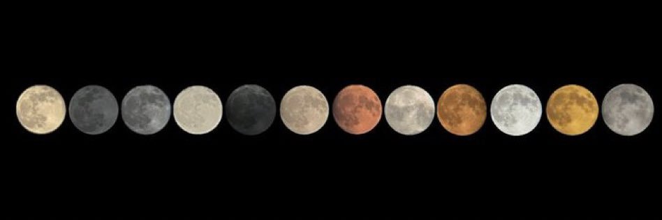 You’ll Fly Too banner