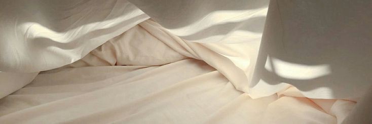 riyev banner