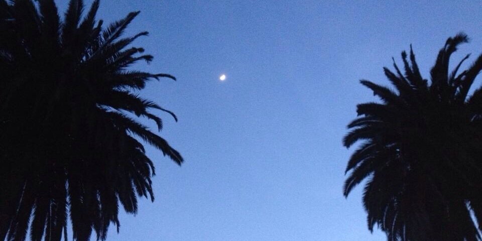babsbny09's profile banner image