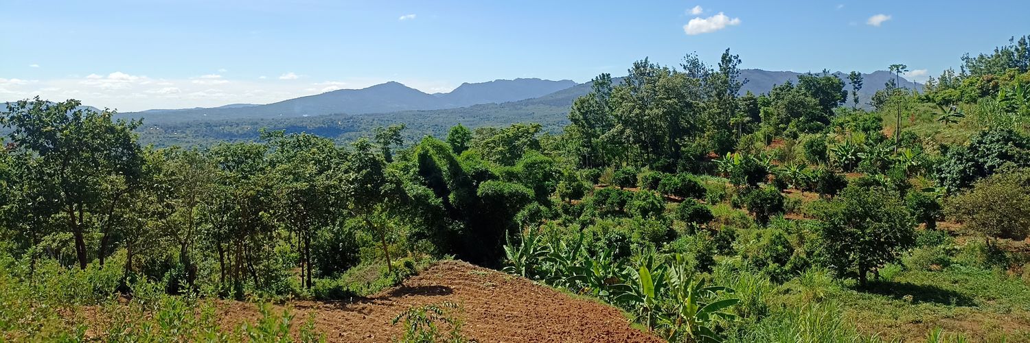 Syrus 🇰🇪 🇨🇩 banner