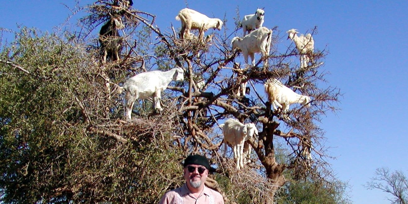 Brother Cleve banner