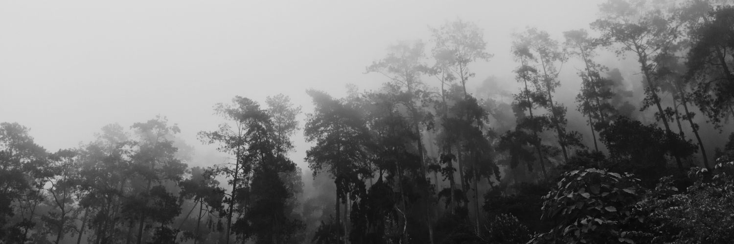 slkaaadn's profile banner image