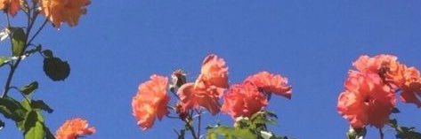 makiaa__'s profile banner image