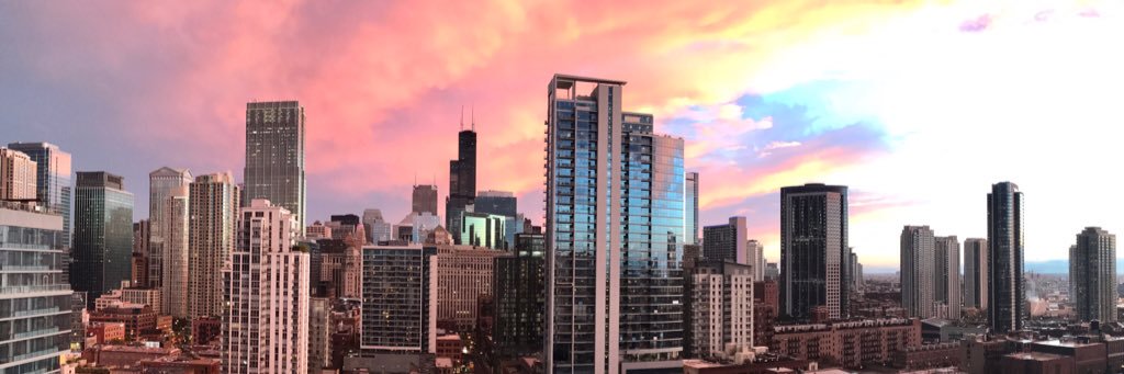 Kassy Krause banner