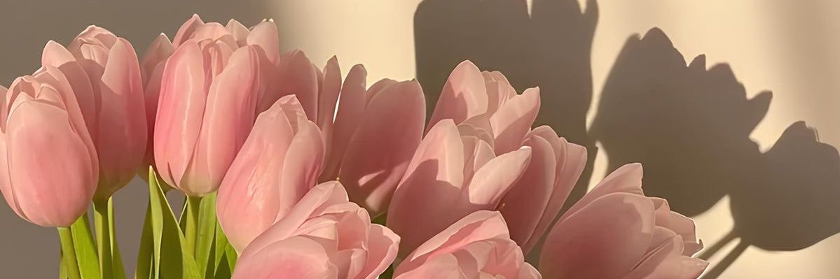 DanStephania's profile banner image