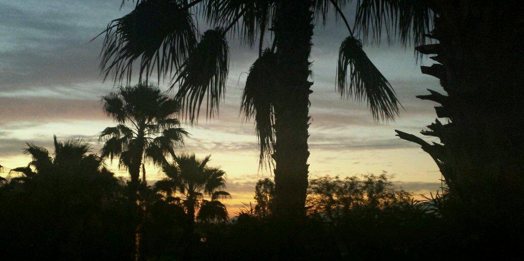 Bruce McManus banner