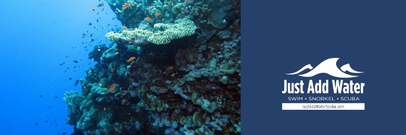 JAW_SCUBA's profile banner image