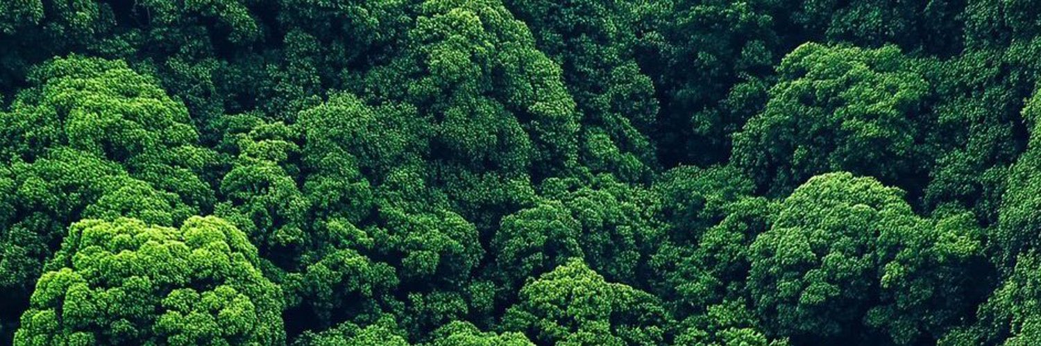ntwvli's profile banner image