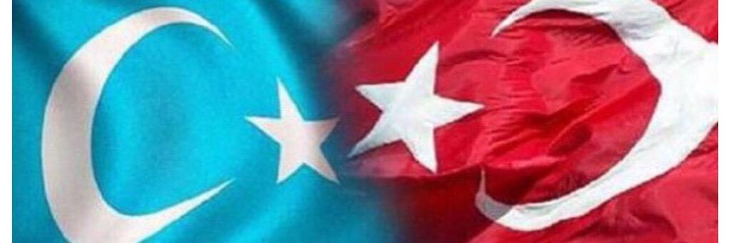 sinirlibaytar's profile banner image