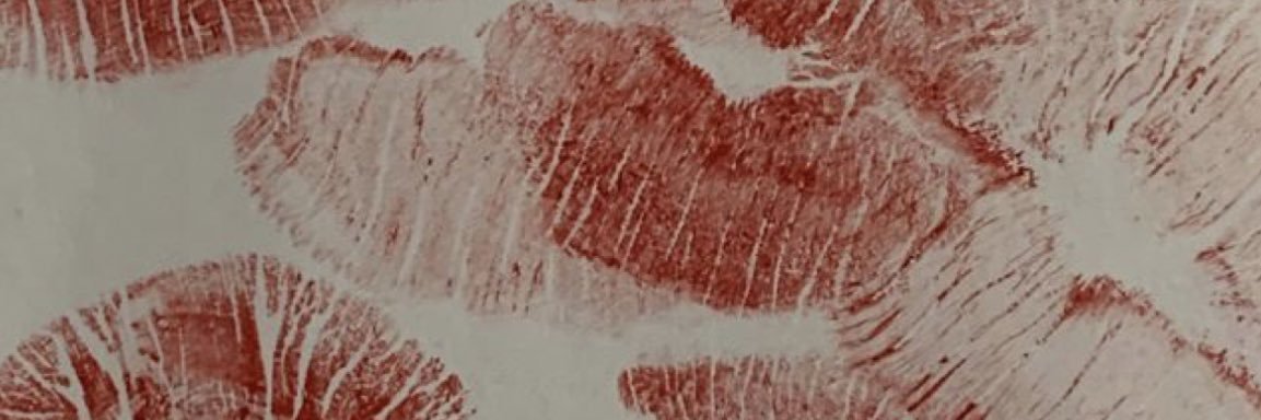 jayevalenciaa's profile banner image