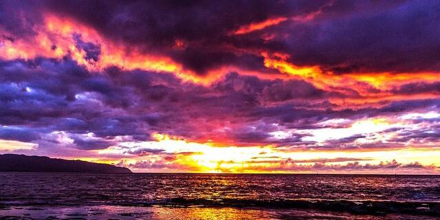 Agricultural AD👨🏾‍🌾 banner