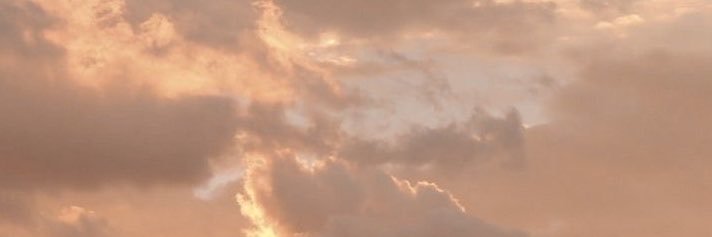 fiorrdiluna's profile banner image