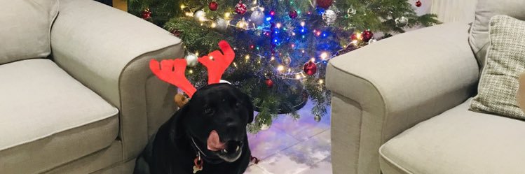 CharleyPlant's profile banner image