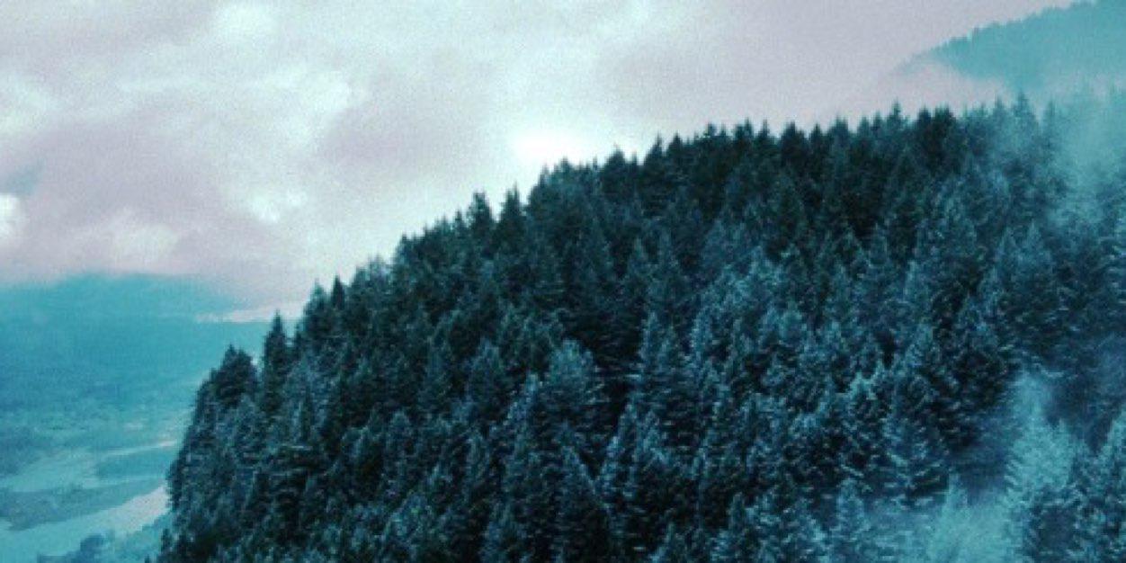 CovertlyGallant's profile banner image