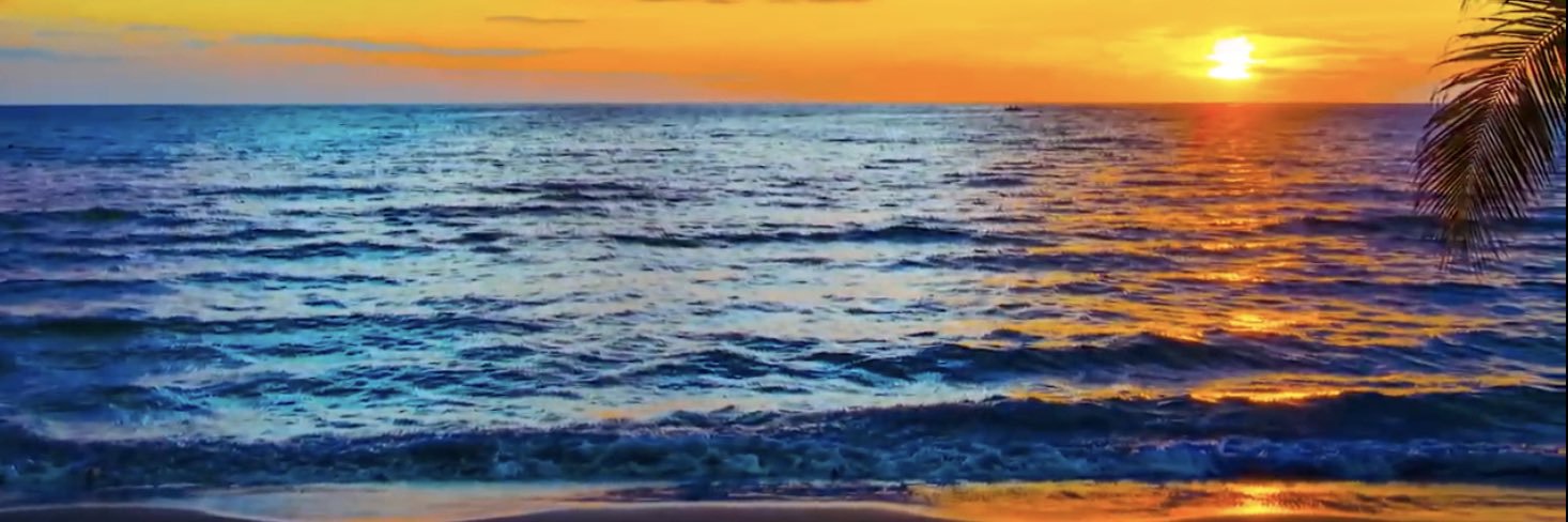 MissRissaB's profile banner image