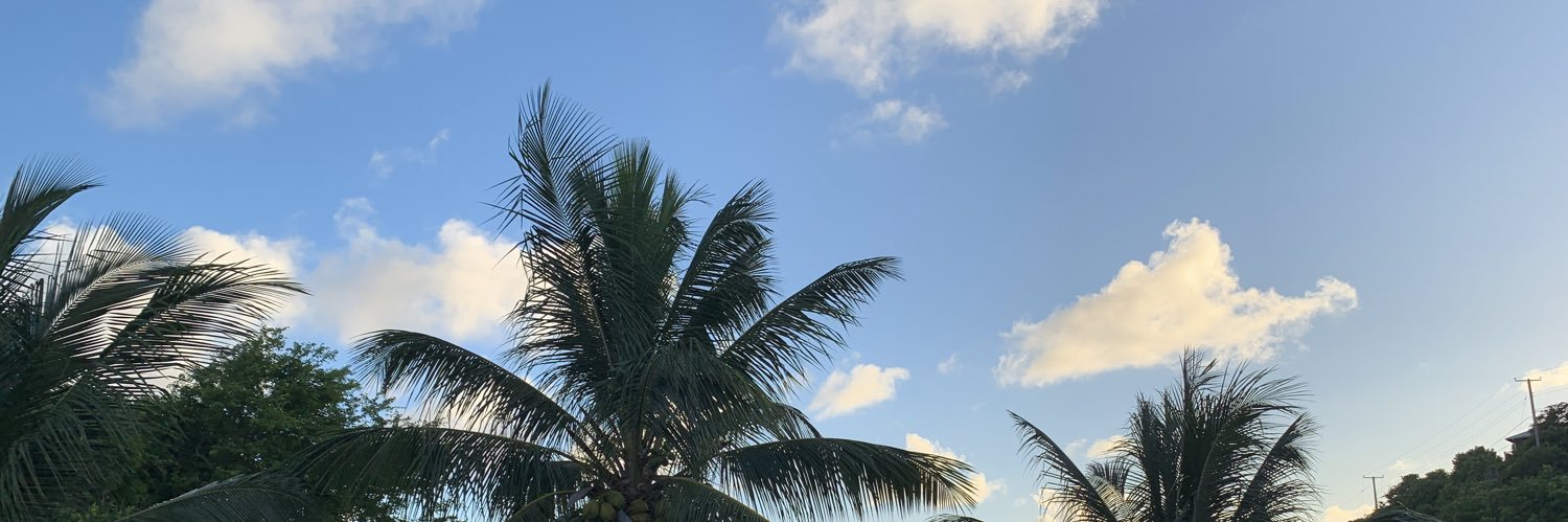 saint daron 🇱🇨 banner