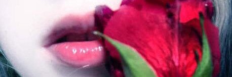 findinglolaaims's profile banner image