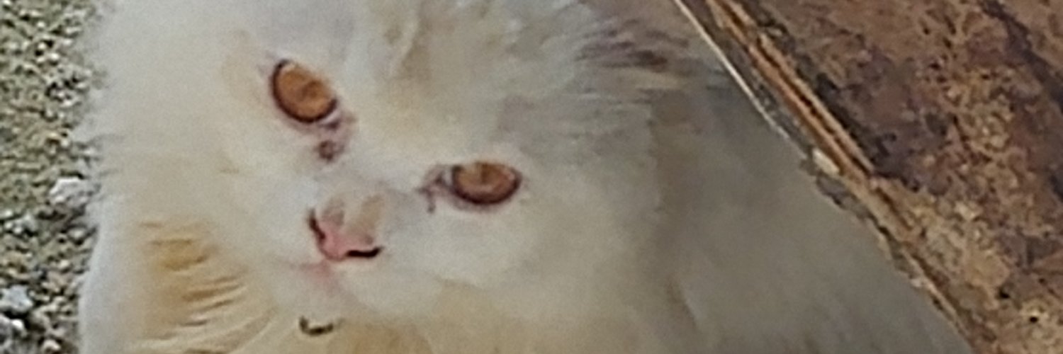 AnaroMonday's profile banner image