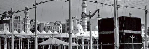 fltareq's profile banner image