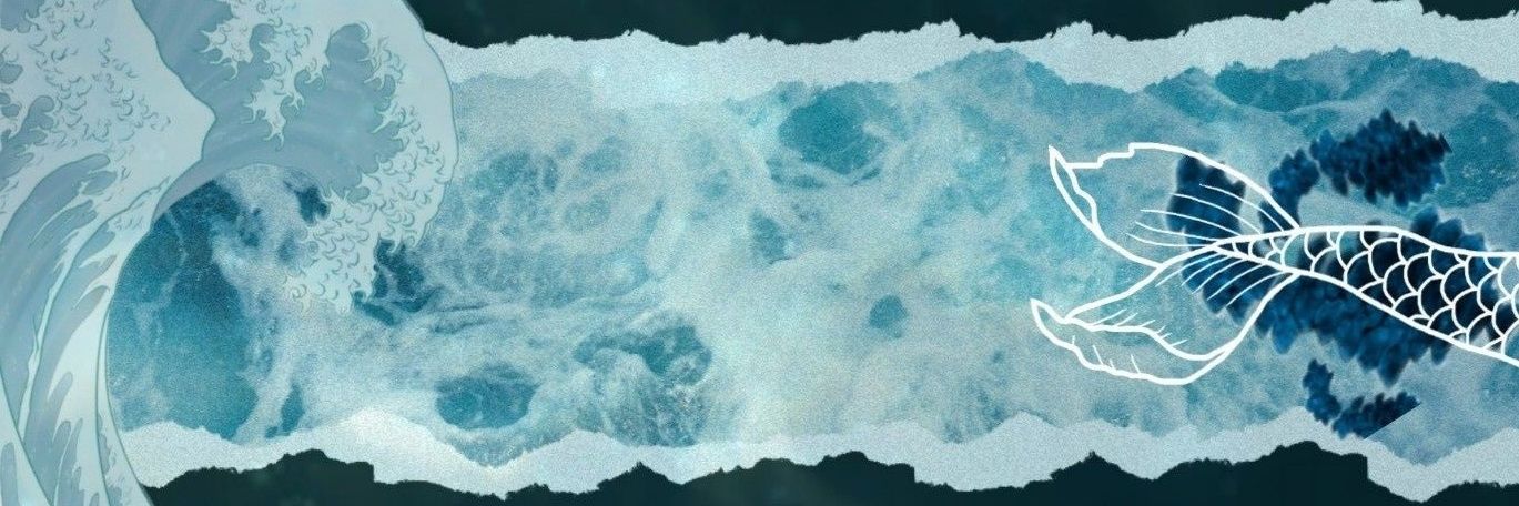 zanottisa's profile banner image