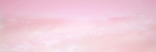 lasaravidal98's profile banner image