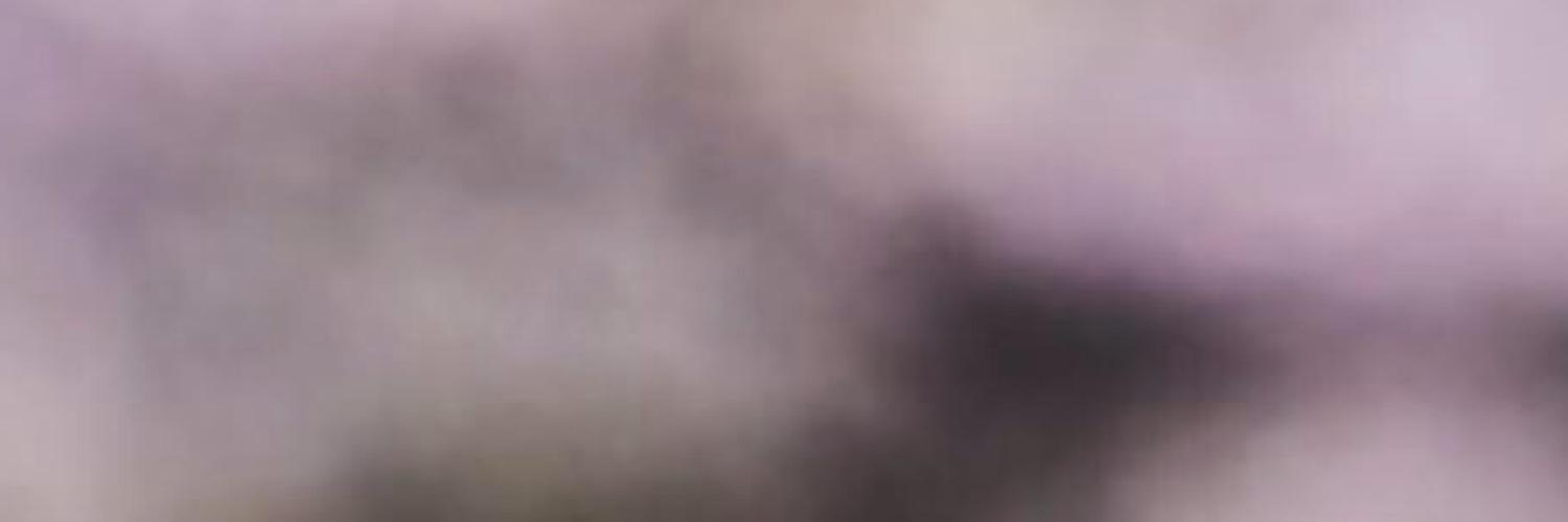sawyerrpgsha's profile banner image