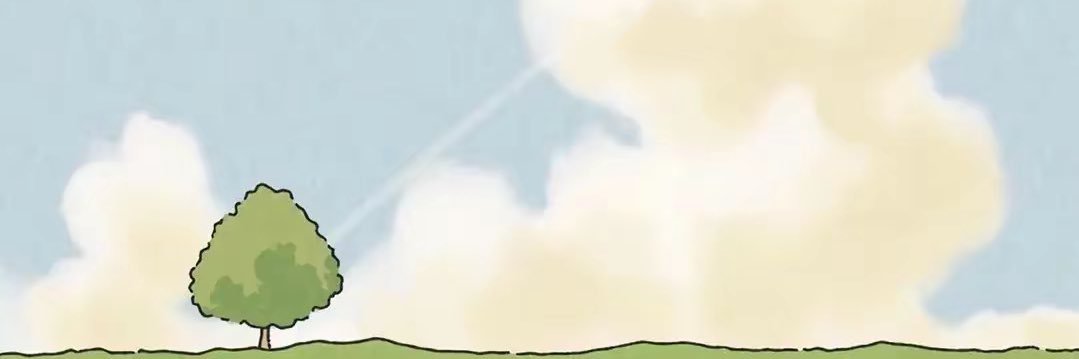 野猪云服务器 banner