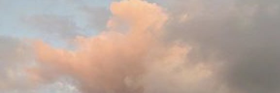 noeeeeliax's profile banner image