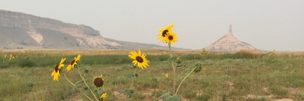 clynnmayer's profile banner image