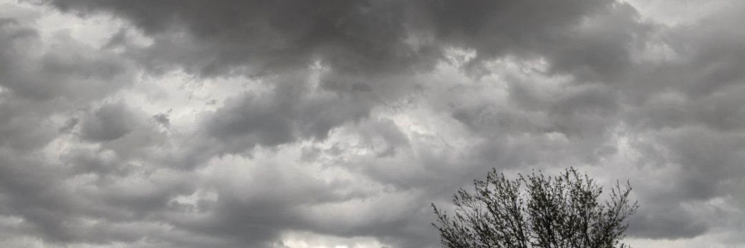 CamiHeth's profile banner image