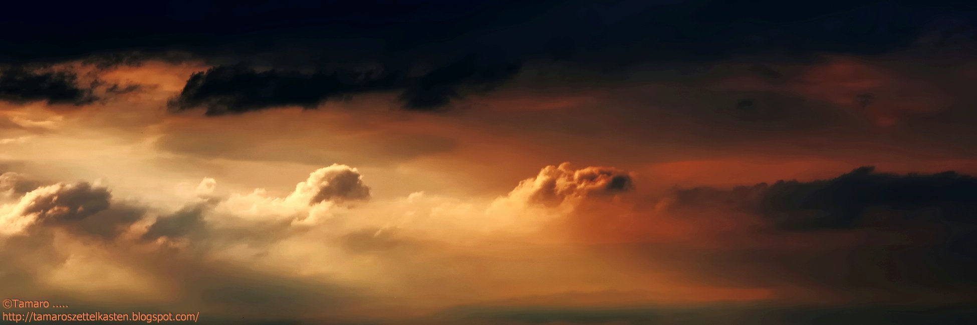 Tamaros's profile banner image