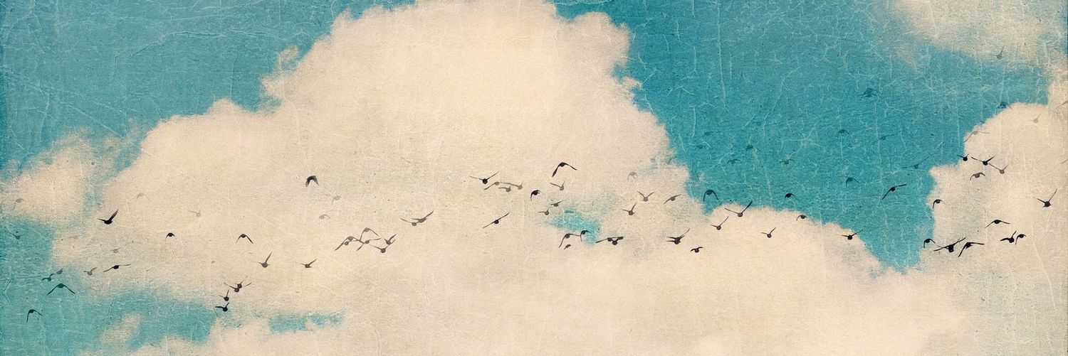 Patricia banner