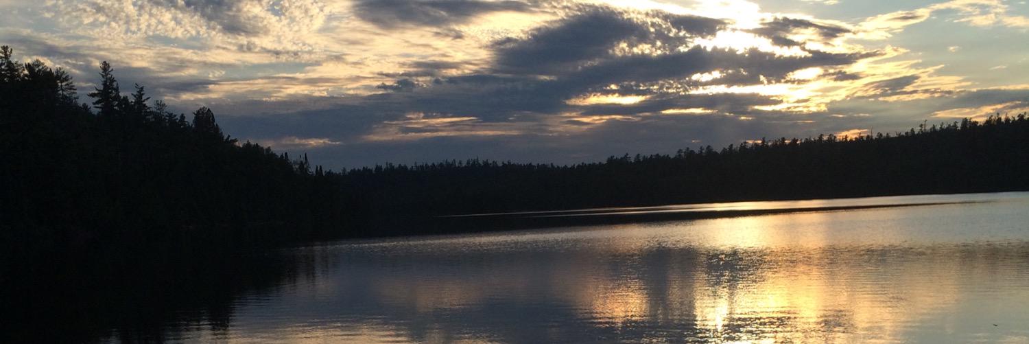 GerberReid's profile banner image