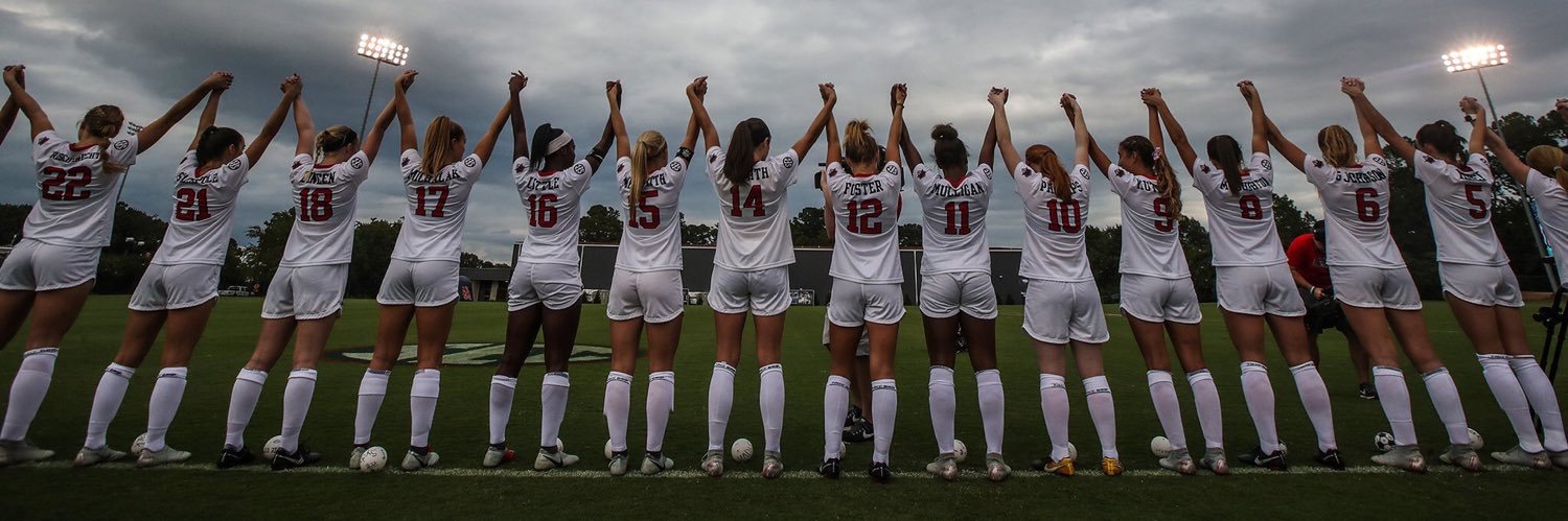 Haleigh Stackpole banner