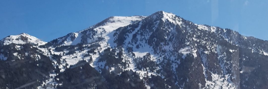 WLontero's profile banner image