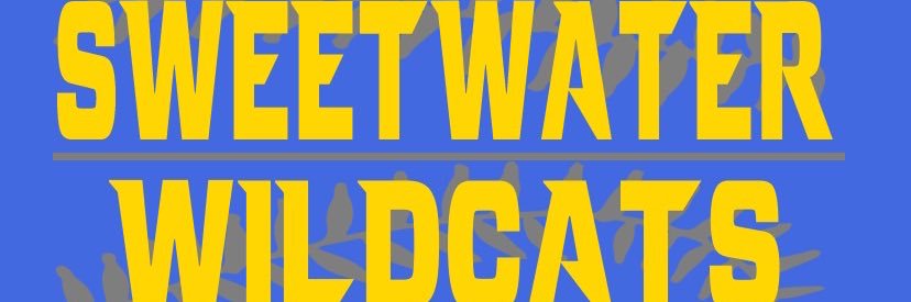 SHS Diamond Cats banner