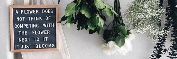 manirosey's profile banner image