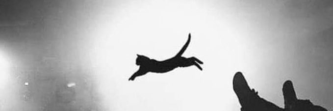 15_vale's profile banner image