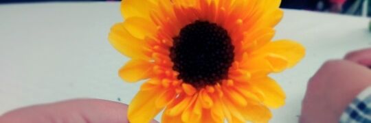 sofia_rios1D's profile banner image