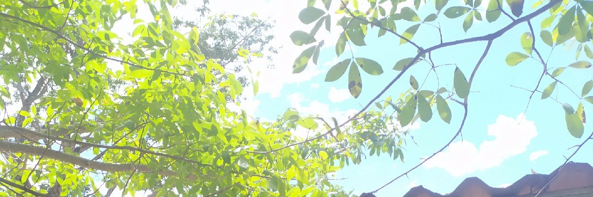 eslene_silva's profile banner image
