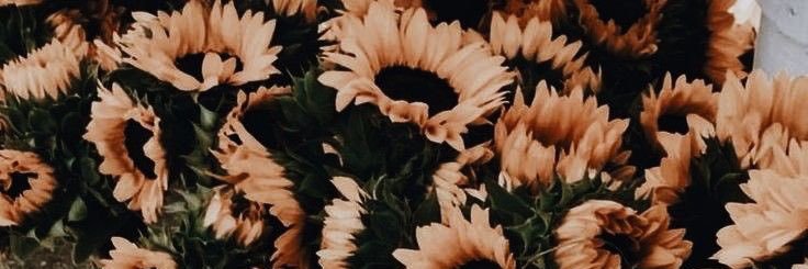 maloriegritts's profile banner image